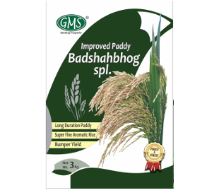 Improved Paddy BADSHA BHOG SPL
