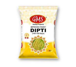 Improved Paddy DIPTI