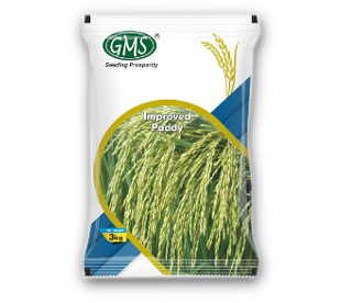 Improved Paddy UDITI PLUS