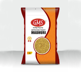 Improved Paddy MADHURI