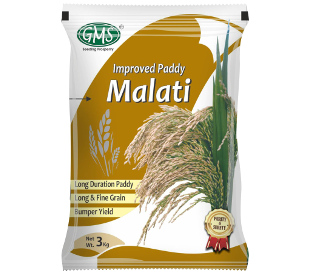 Improved Paddy MALATI