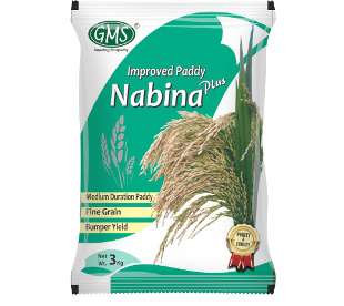  Improved Paddy NABINA PLUS 