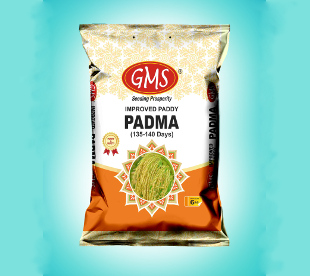 Improved Paddy PADMA