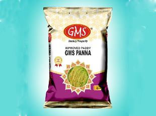 Improved Paddy Panna Red