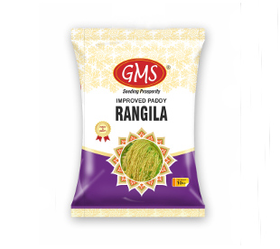 Improved Paddy RANGILA