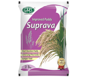 Improved Paddy SUPRAVA
