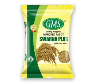 Improved Paddy SWARNA PLUS