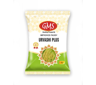 Improved Paddy URVASHI Plus