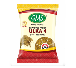 Improved Paddy ULKA 4