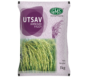 Improved Paddy UTSAV