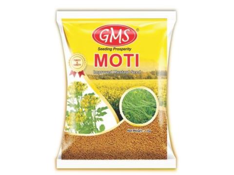 MOTI Improved Mustard Seed