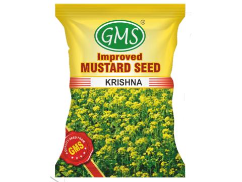 Mustard KRISHNA