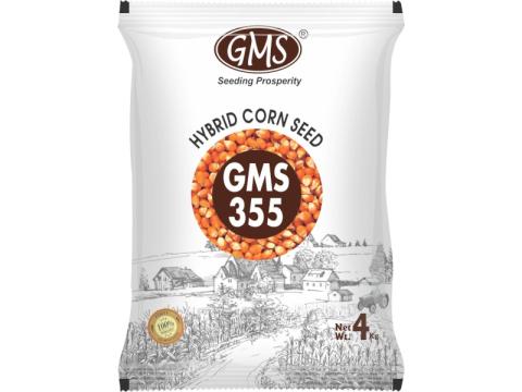 Hybrid Maize GMS - 355