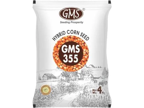 Hybrid Maize GMS - 355