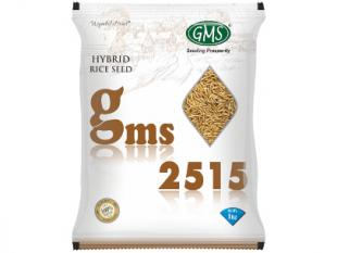 Hybrid Paddy GMS-2515