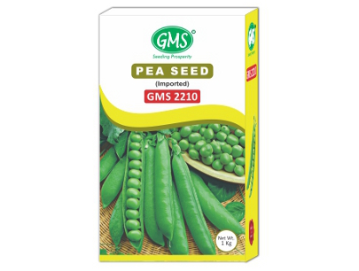 Pea Seeds GMS - 2210 (imported)