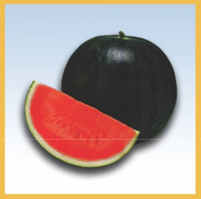 Watermelon F1 Hybrid GMS-5342