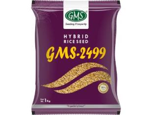 HYBRID PADDY GMS-2499