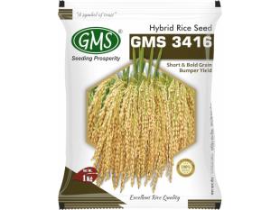 Hybrid Paddy GMS-3416