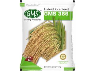 Hybrid Paddy GMS-386