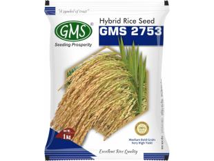 Hybrid Paddy GMS-2753