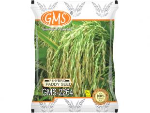 Hybrid Paddy GMS-2264