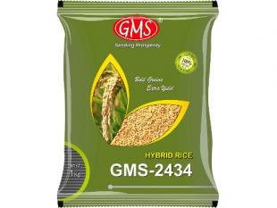 Hybrid Paddy GMS 2434