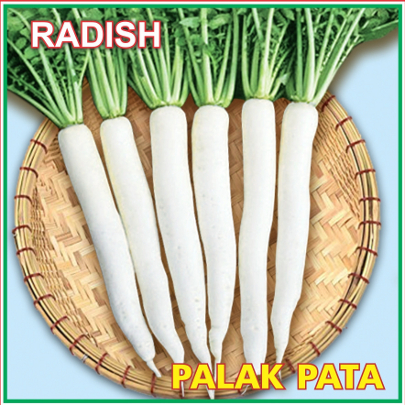 Radish Palak Pata