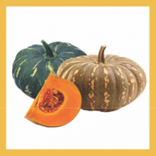 F1 Hybrid Pumpkin-Laboni